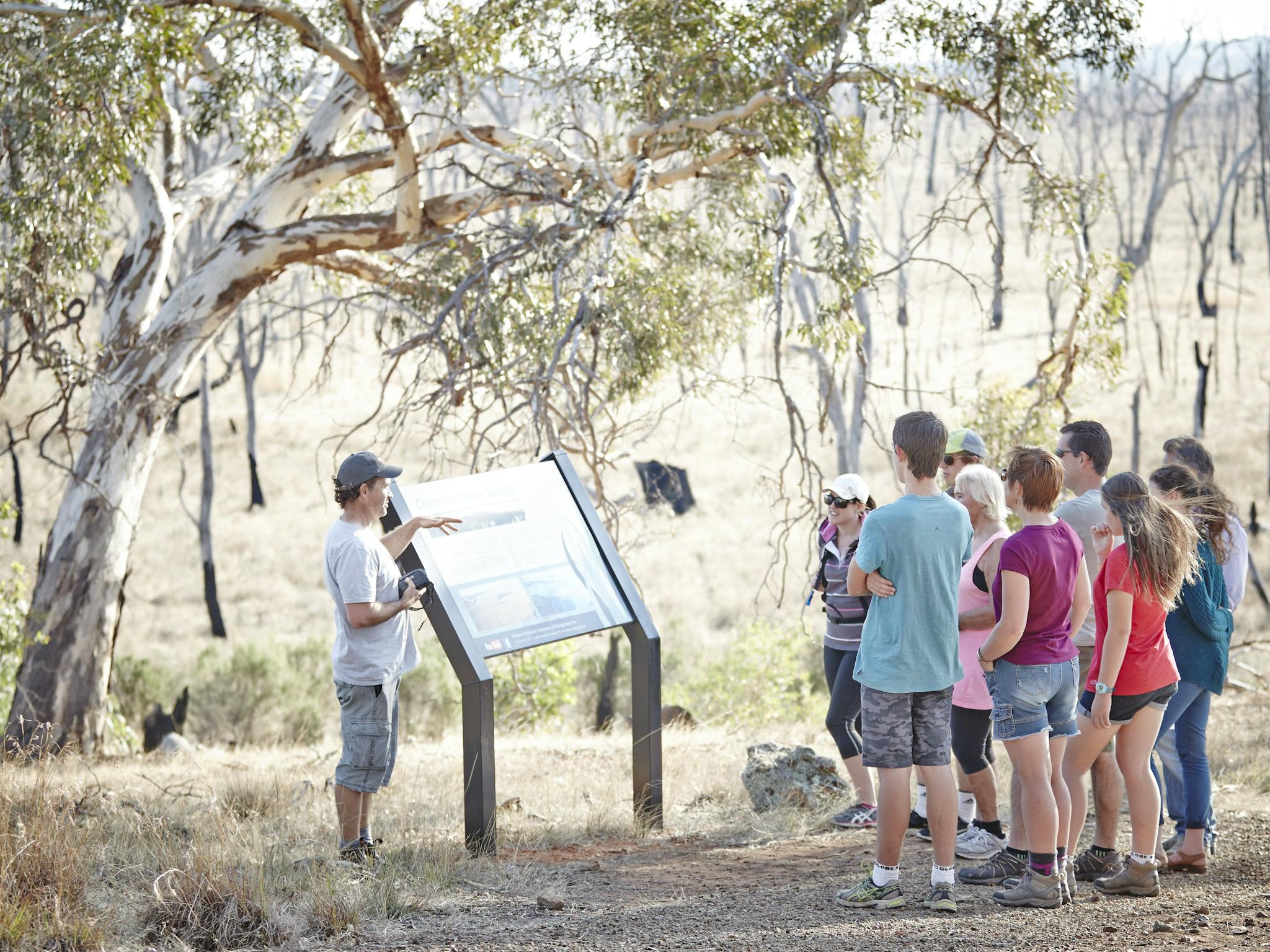 Reading interpretive signs around the Winton Wetlands