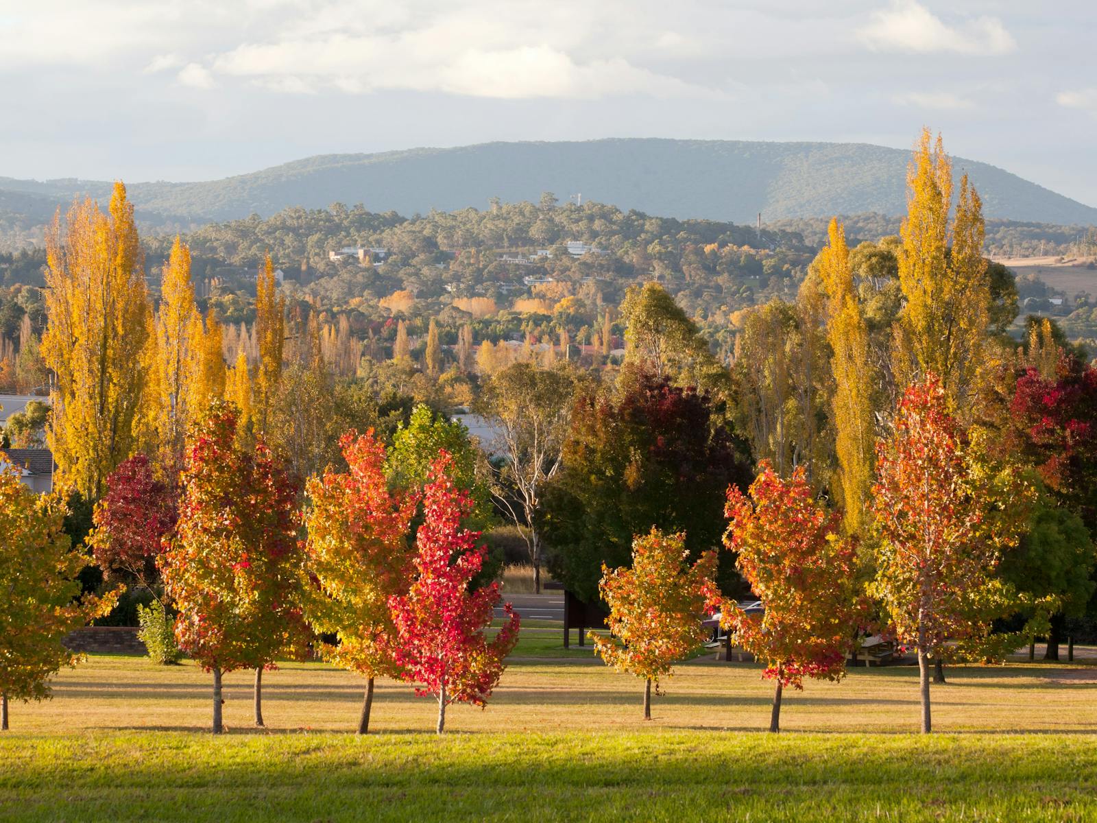 Autumn in Armidale