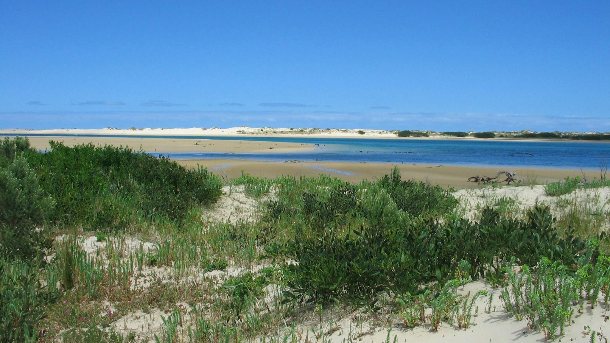 Shallow Inlet Marine and Coastal Park in Sandy Point - The Fold: Your ...