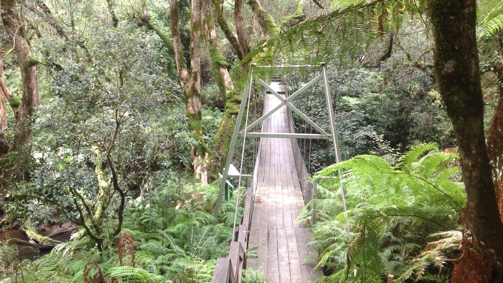 Bemm River Scenic Reserve