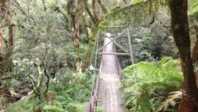 Bemm River Scenic Reserve