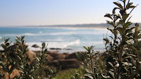 Cape Conran Coastal Park