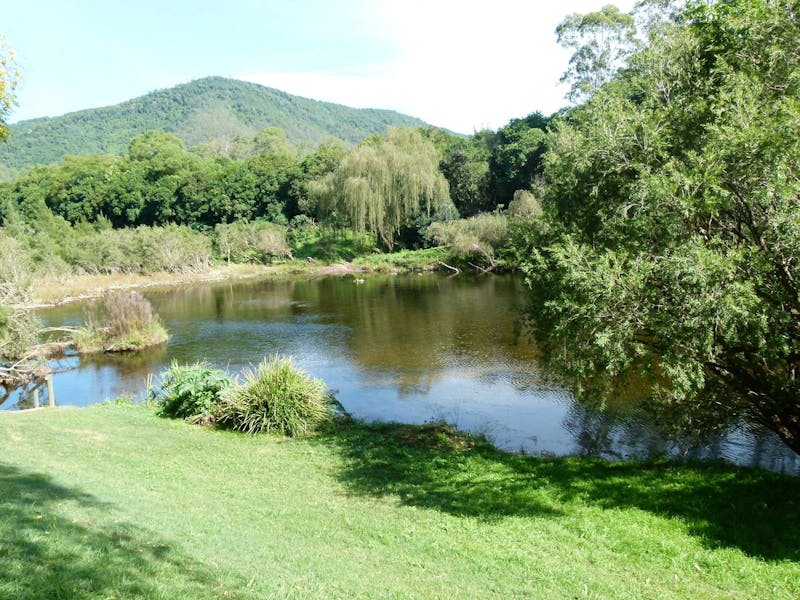 The River