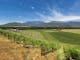 Feathertop Winery