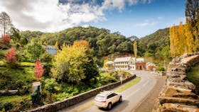 Walhalla Historic Area
