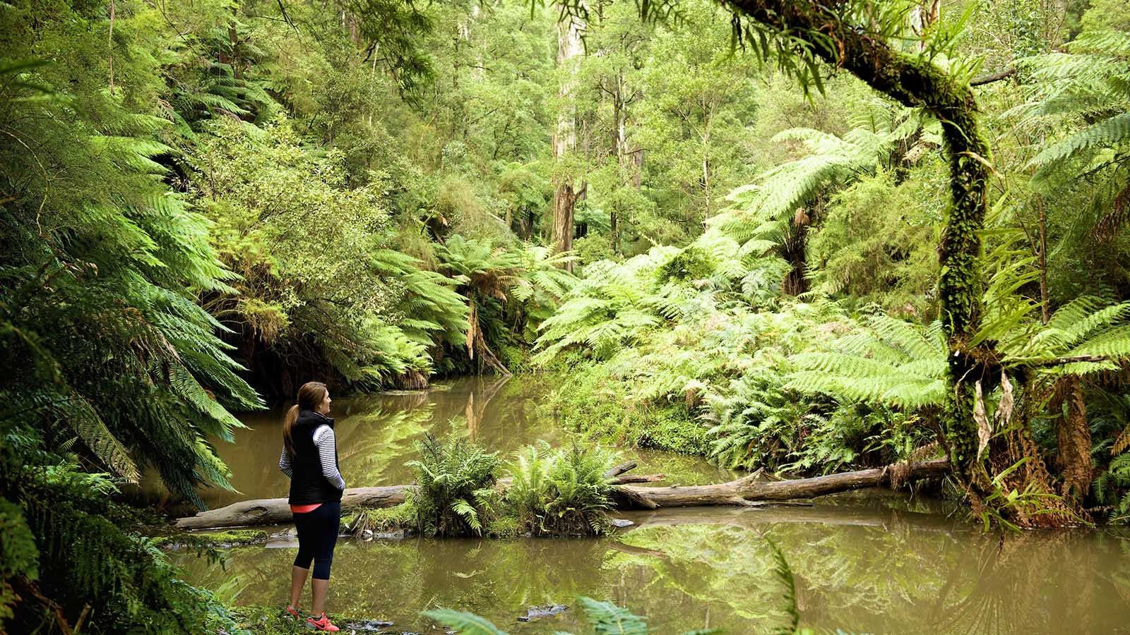 Morwell National Park