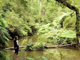 Morwell National Park