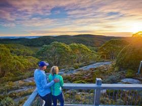 Mt Baw Baw Summit Walk