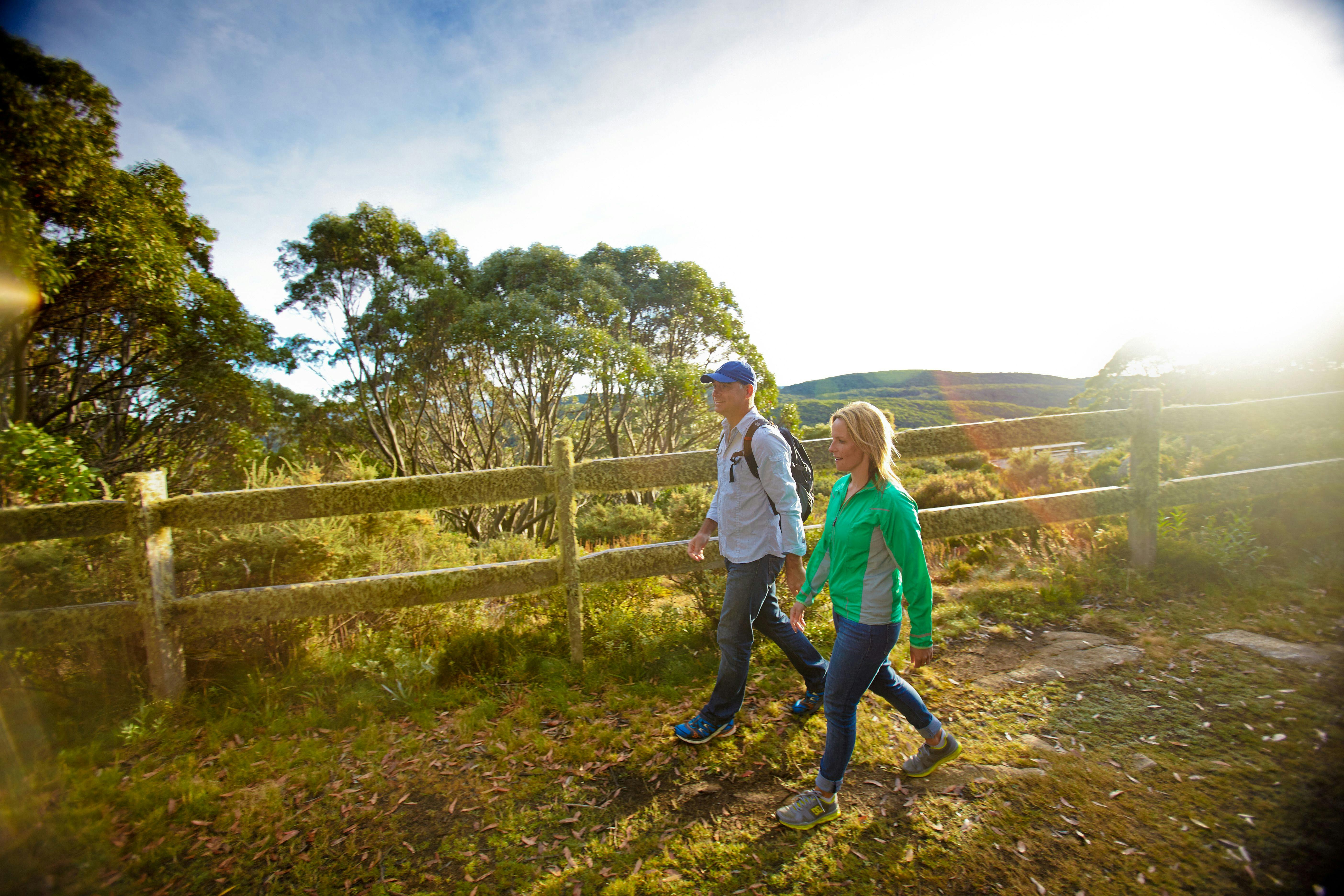 Mt Baw Baw Summit Walk