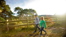 Walking to the Mt Baw Baw Summit in Baw Baw National Park, Gippsland, Victoria, Australia