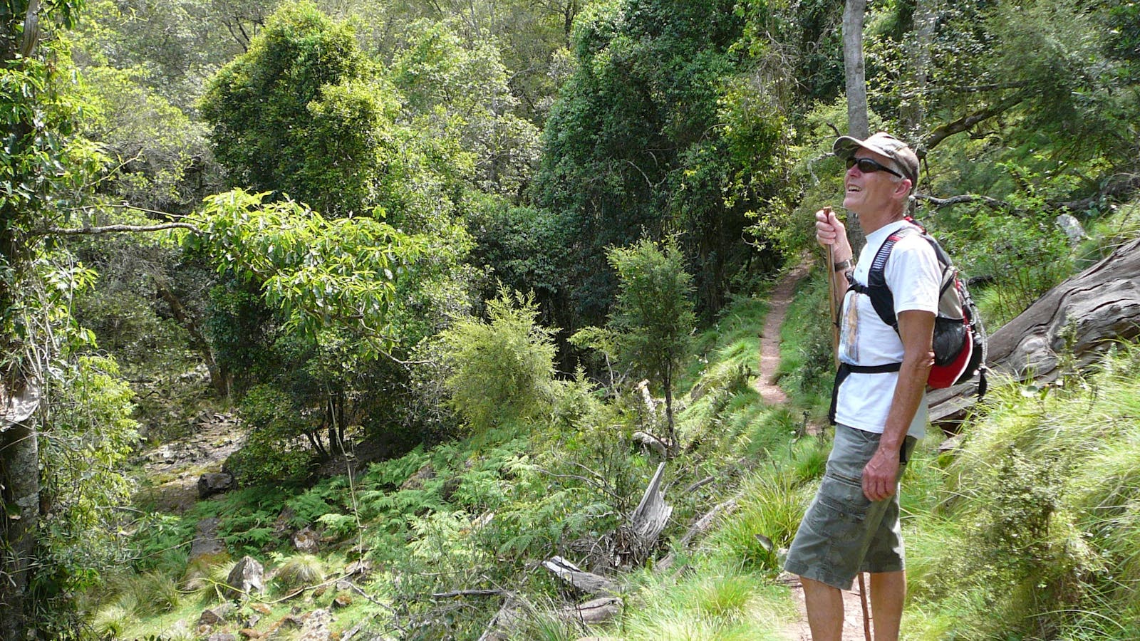 Mitchell River Walking Track