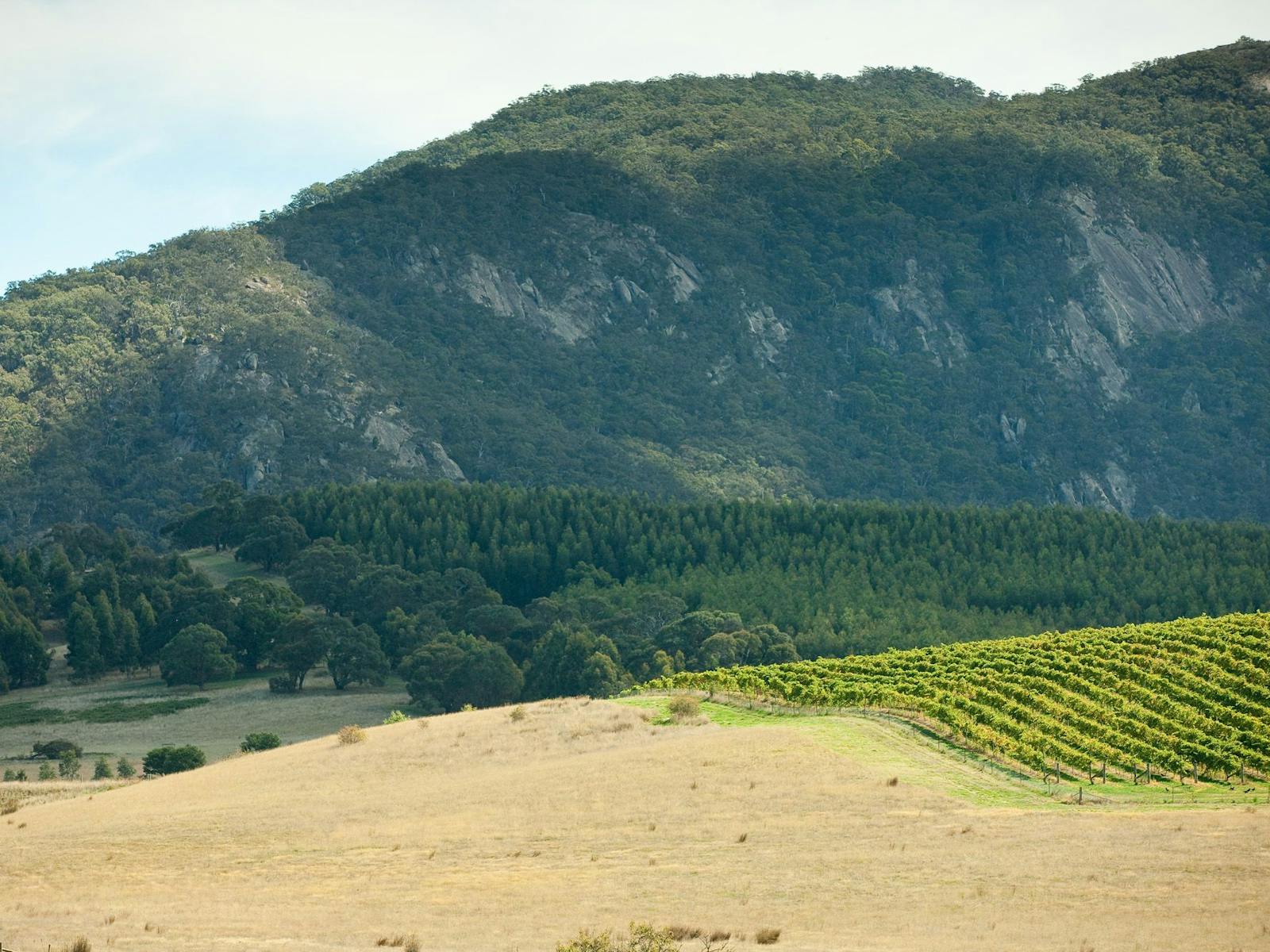 Langi Ghiran State Park Big4 Nrma Halls Gap Holiday Park Big4