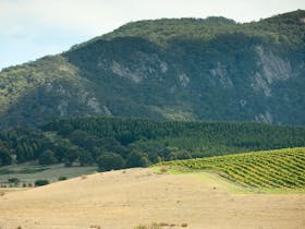 Langi Ghiran State Park