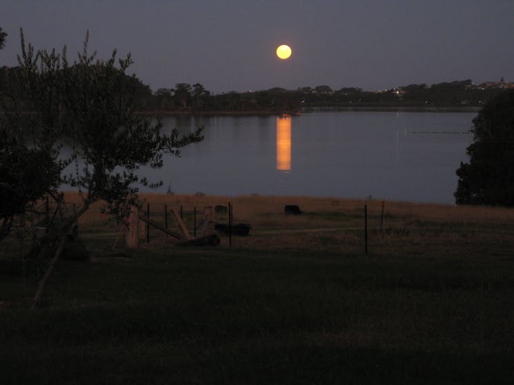 Full moon over Narooma seen from Clark Bay Cottages