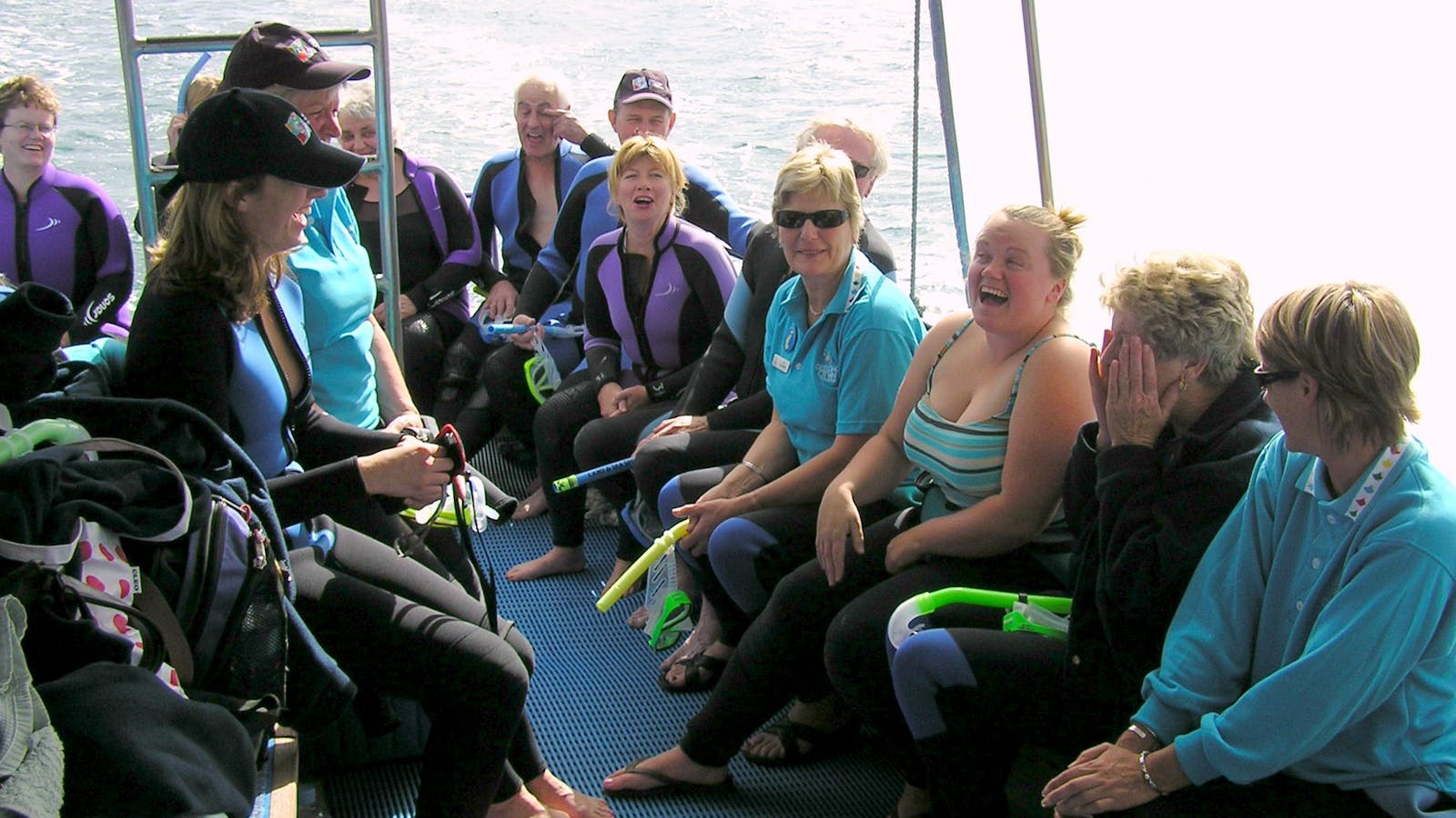 Sea All Dolphin Swims