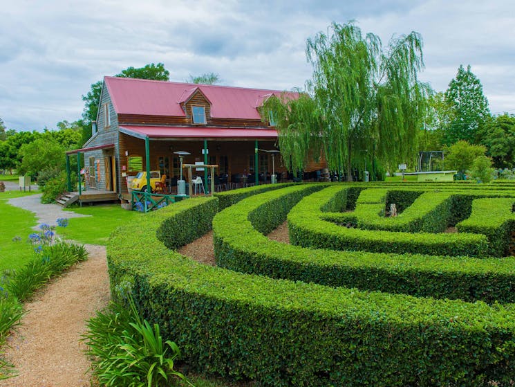 Amazement Farm and Fun Park