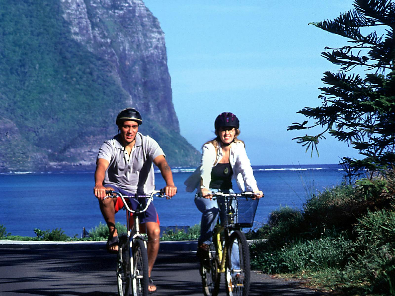 Wilsons Bike Hire