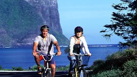 Wilsons Bike Hire