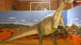Mattaburrasaurus