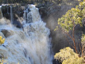 Walcha image