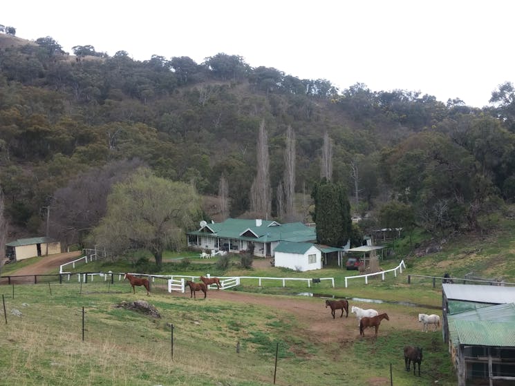 Leconfield 11 Day Jackaroo And Jillaroo School Sydney Australia Sydney Cn