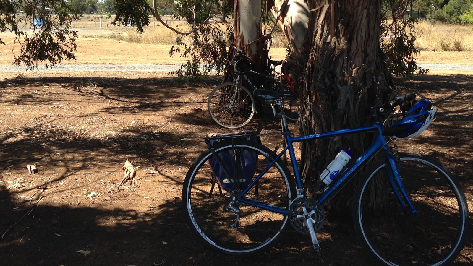 Murchison Rail Trail - Waranga Rail Trail