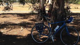 Murchison Rail Trail - Waranga Rail Trail