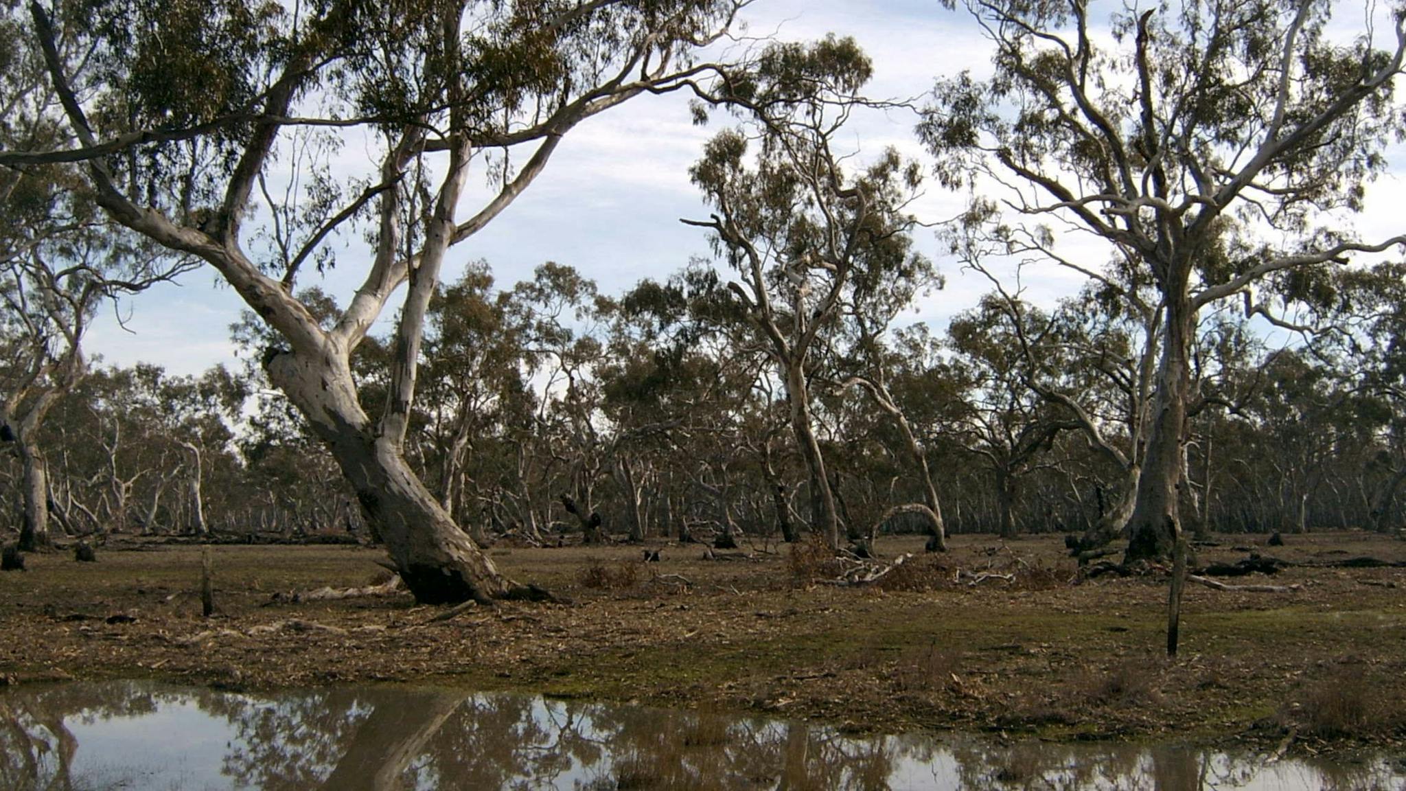 Murchison Rail Trail - Doctors Swamp
