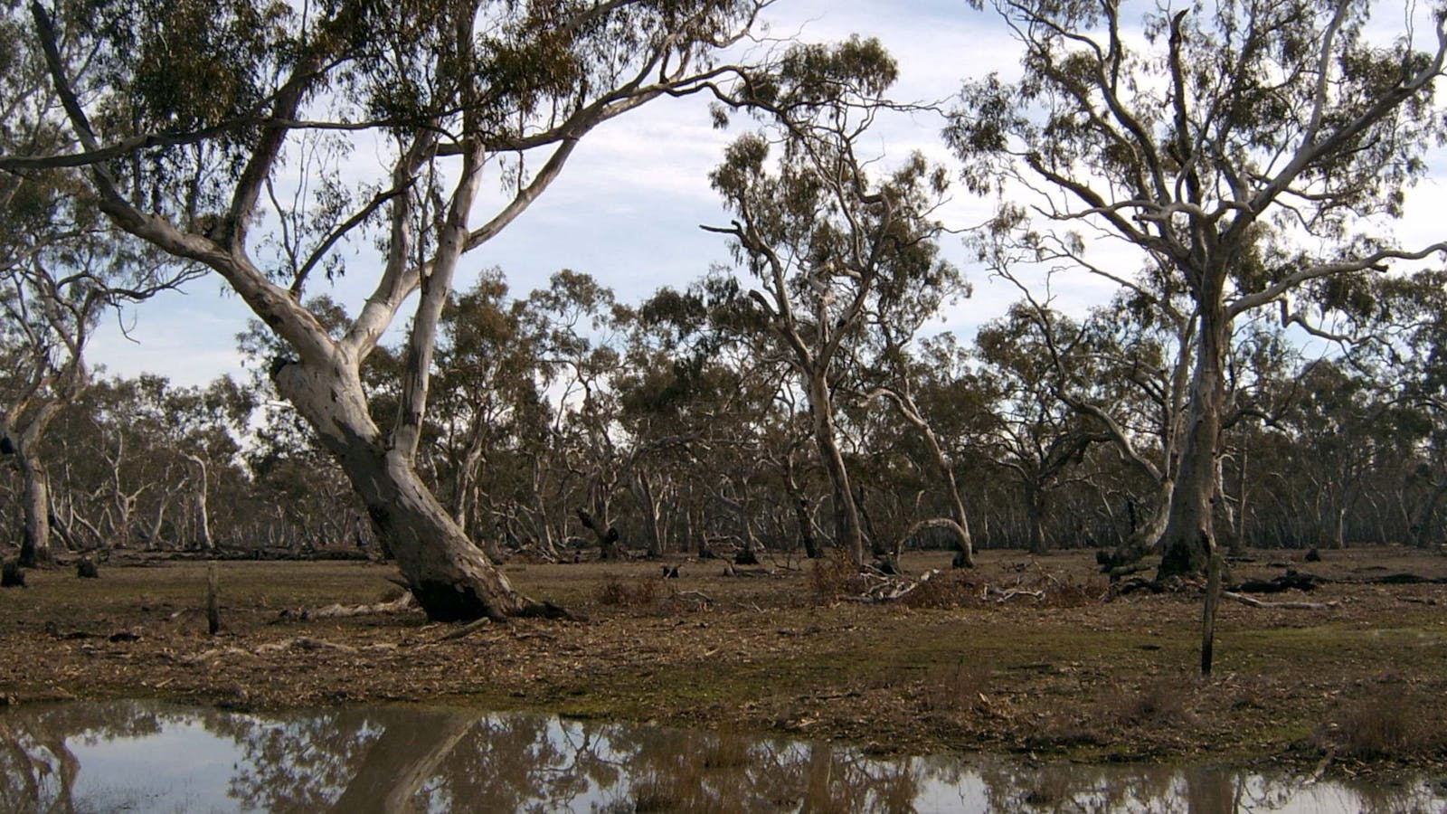 Murchison Rail Trail - Waranga Rail Trail
