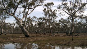Murchison Rail Trail - Waranga Rail Trail