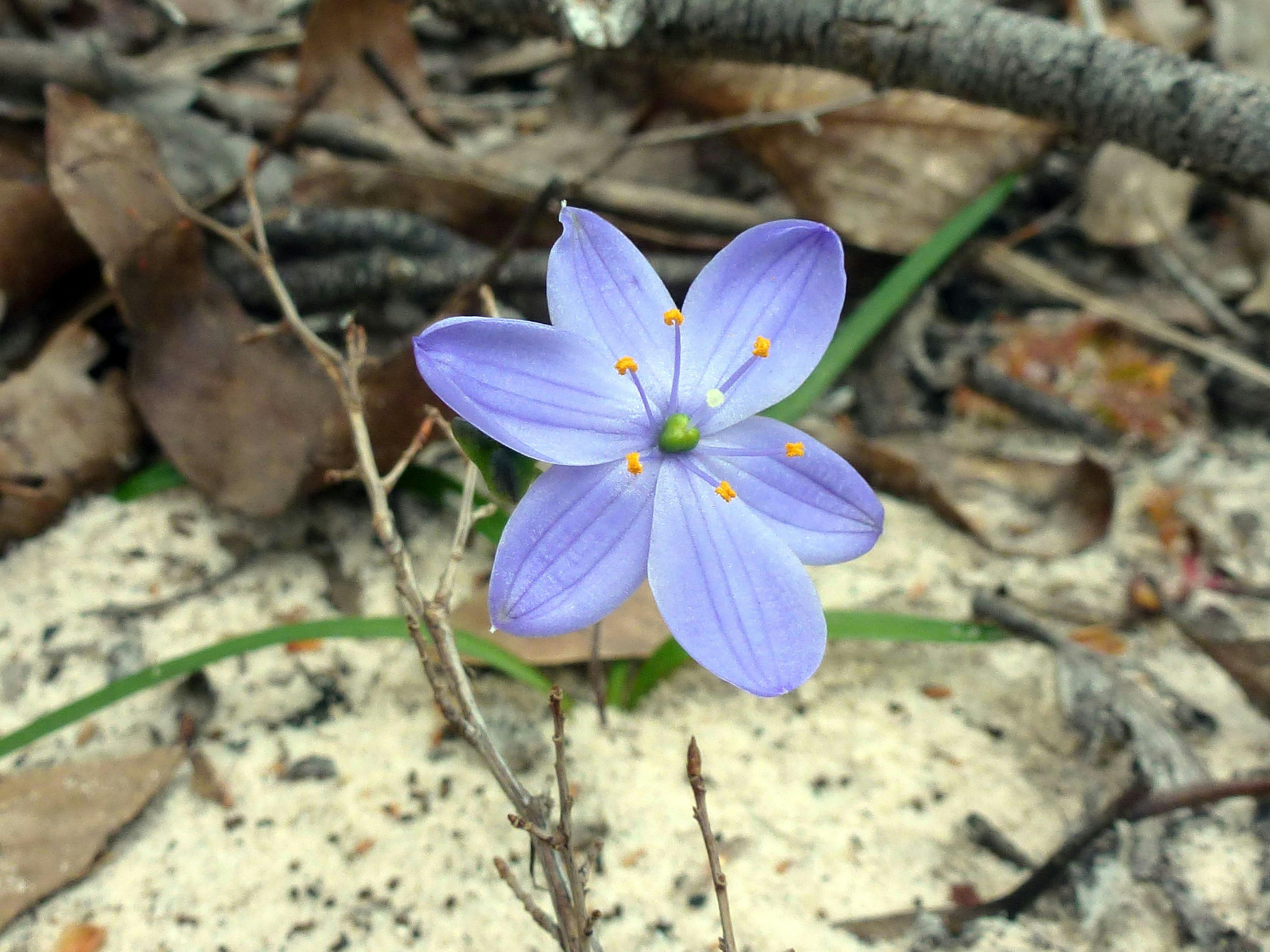 Grampians Peaks Trail and Beyond 7 Day Self-Guided
