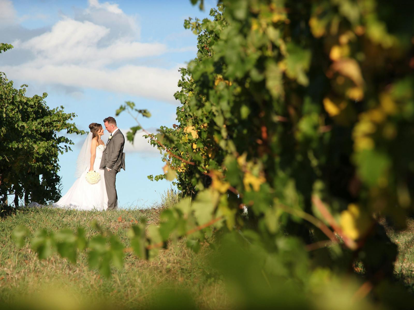 De Bortoli Yarra Valley Estate