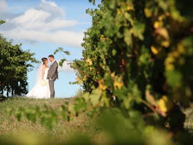 Wedding at De Bortoli, De Bortoli Yarra Valley Estate