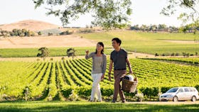 Enjoying the grounds at De Bortoli, De Bortoli Yarra Valley Estate