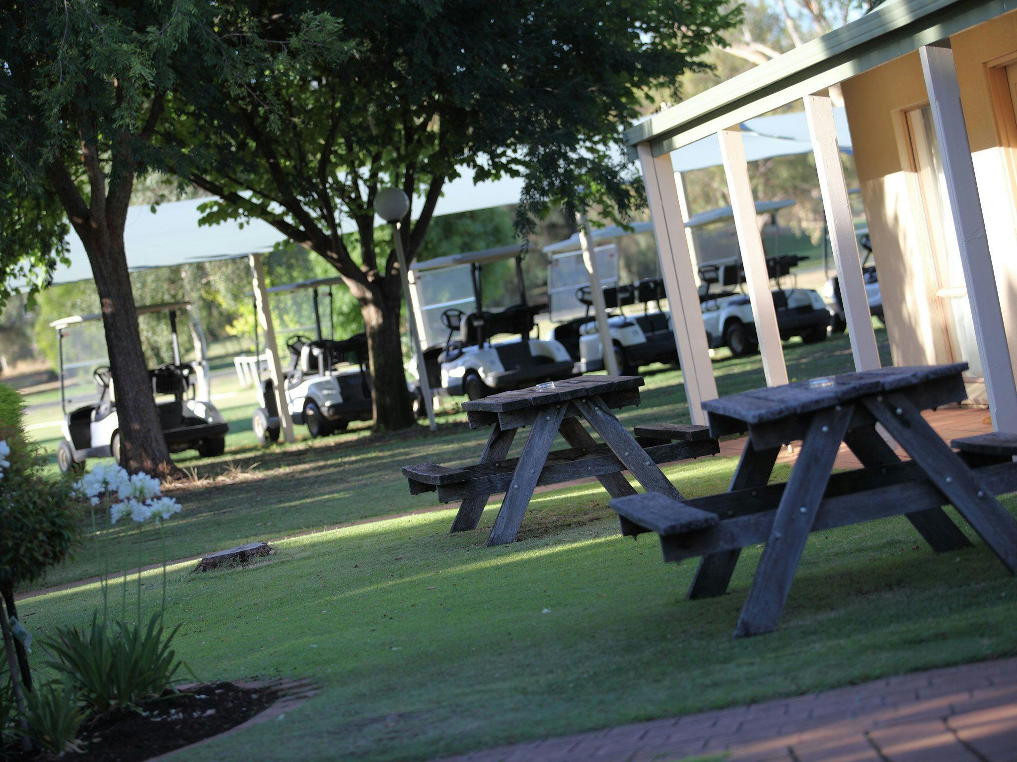 Murray Downs Golf Carts