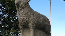 Guyra Lamb and Potato Festival