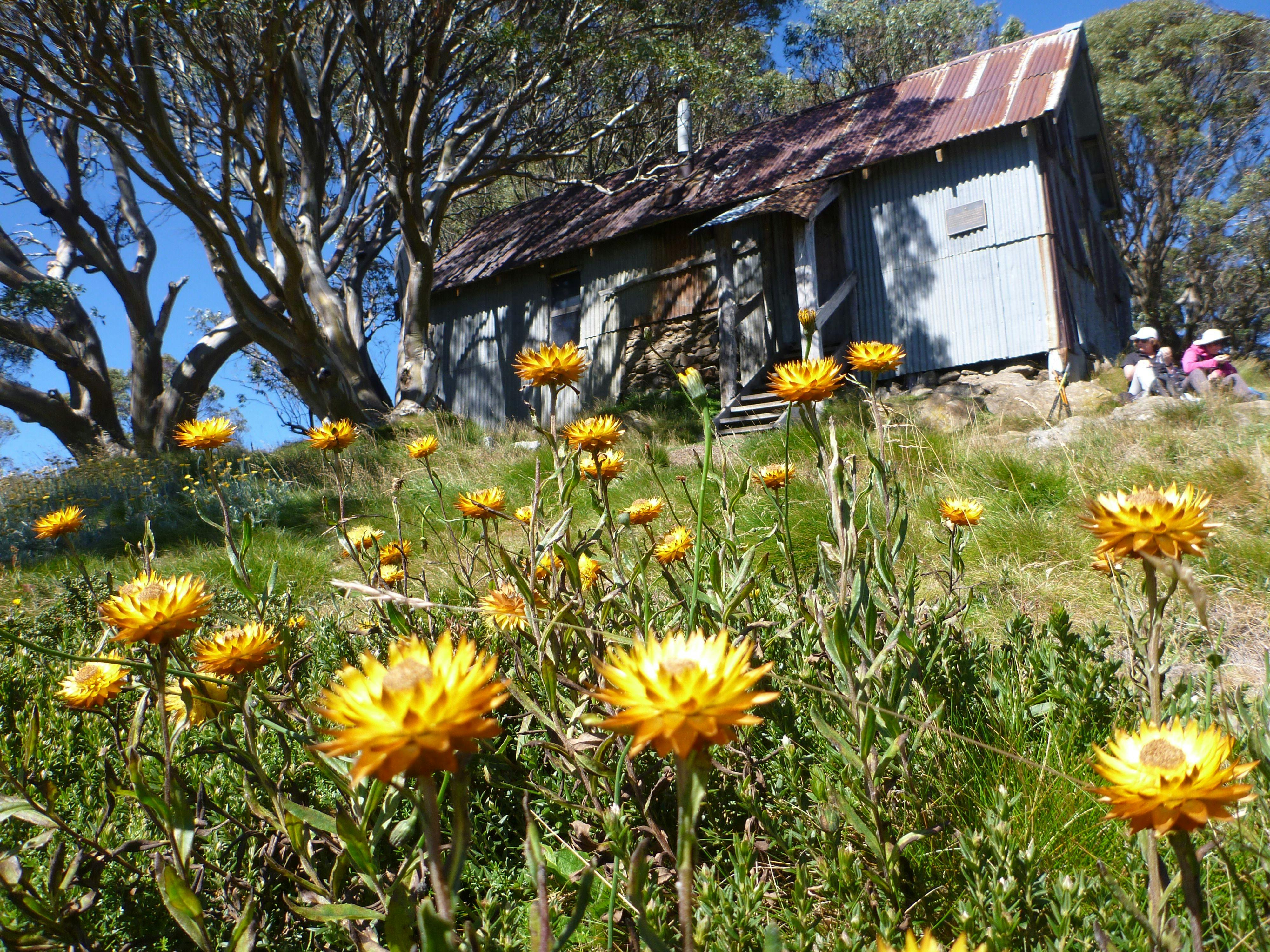 Great Alpine Walk 7 Day - Self-Guided