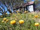 Auswalk Walking Holidays