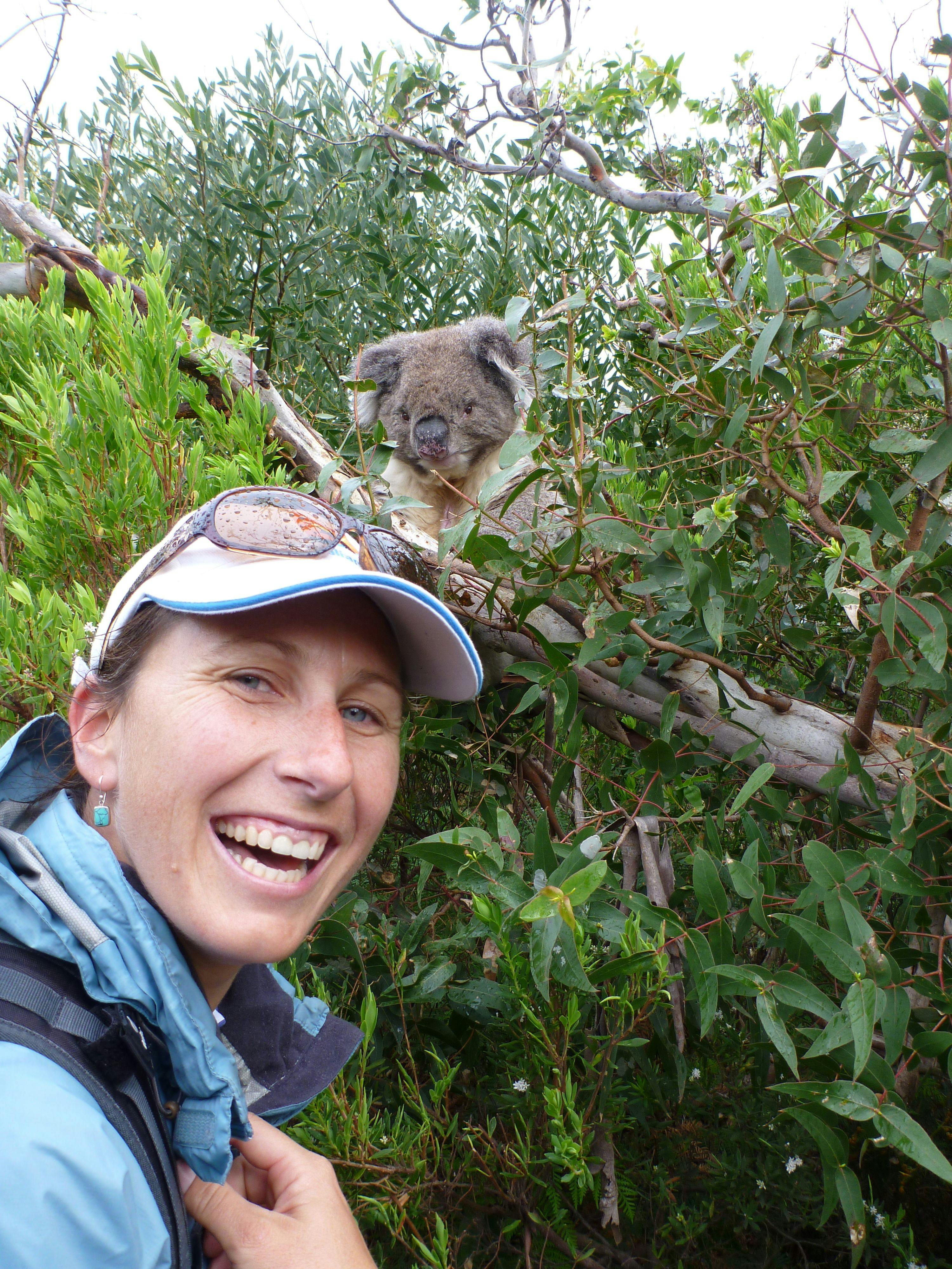 Great Ocean Walk -7 Day Group-Guided