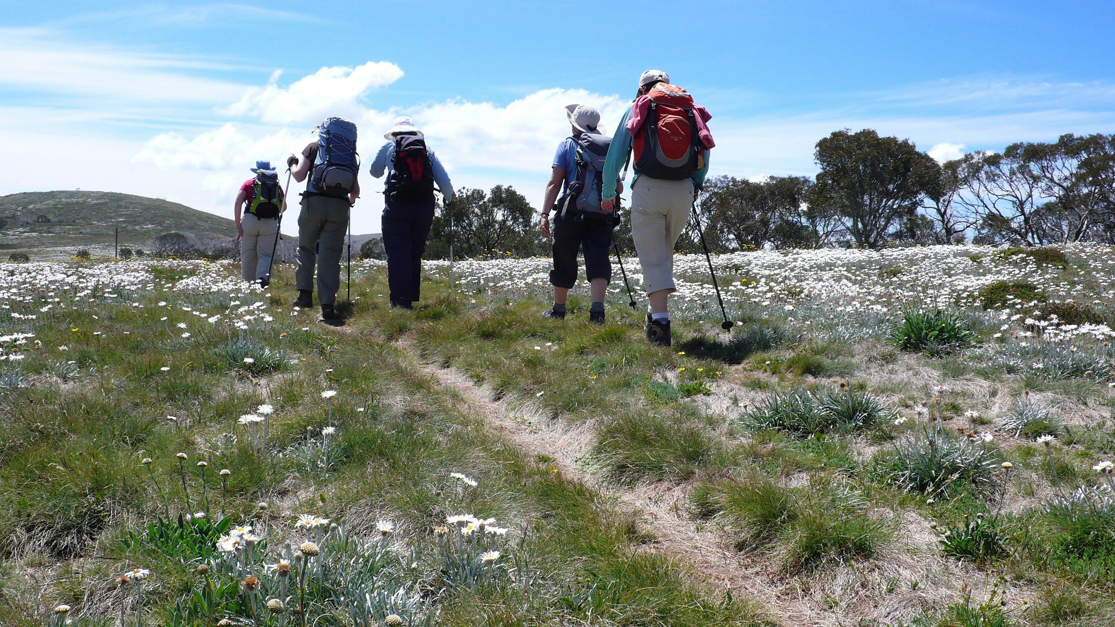 Great Alpine Walk - 7 Day Group-Guided