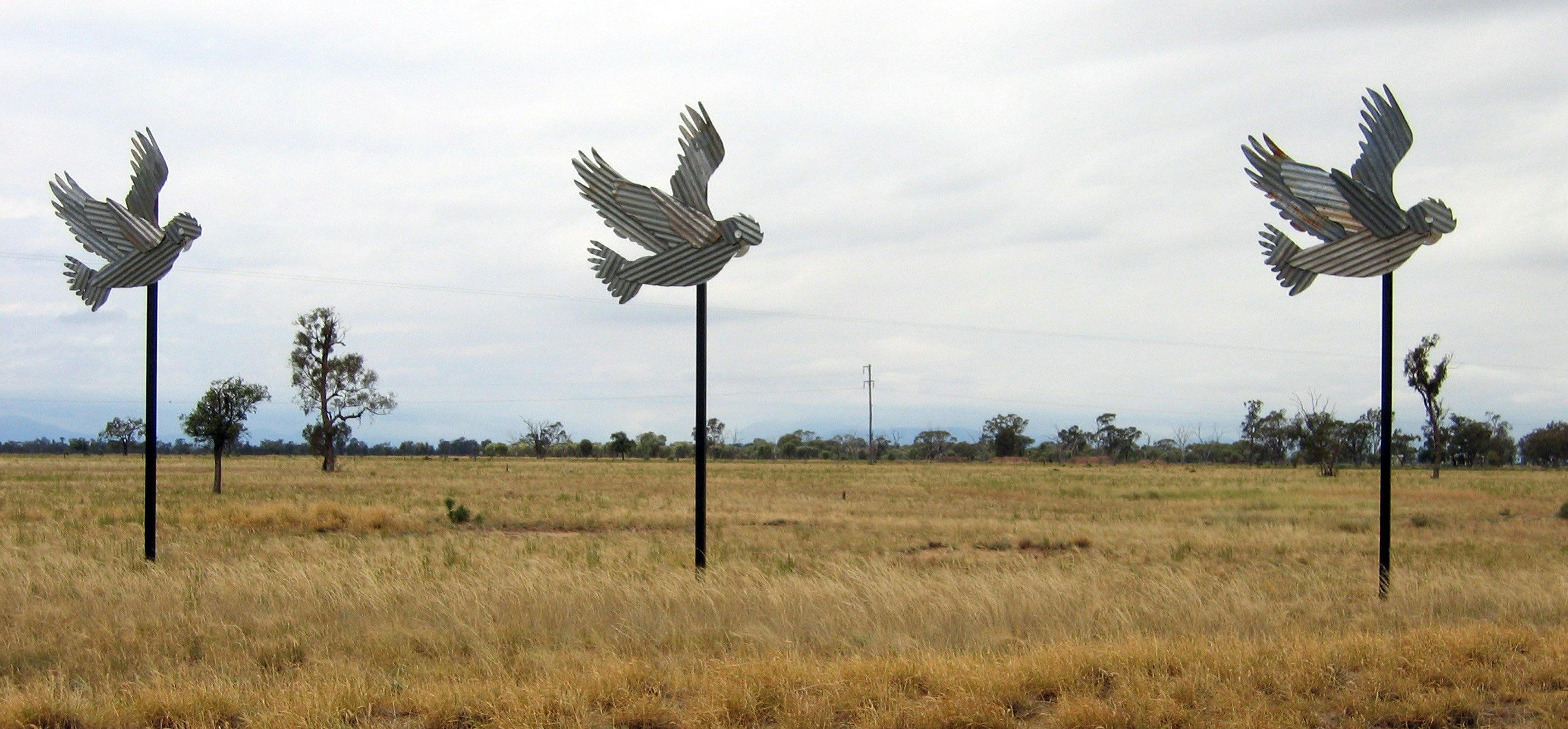 Corrugated Iron Galahs 