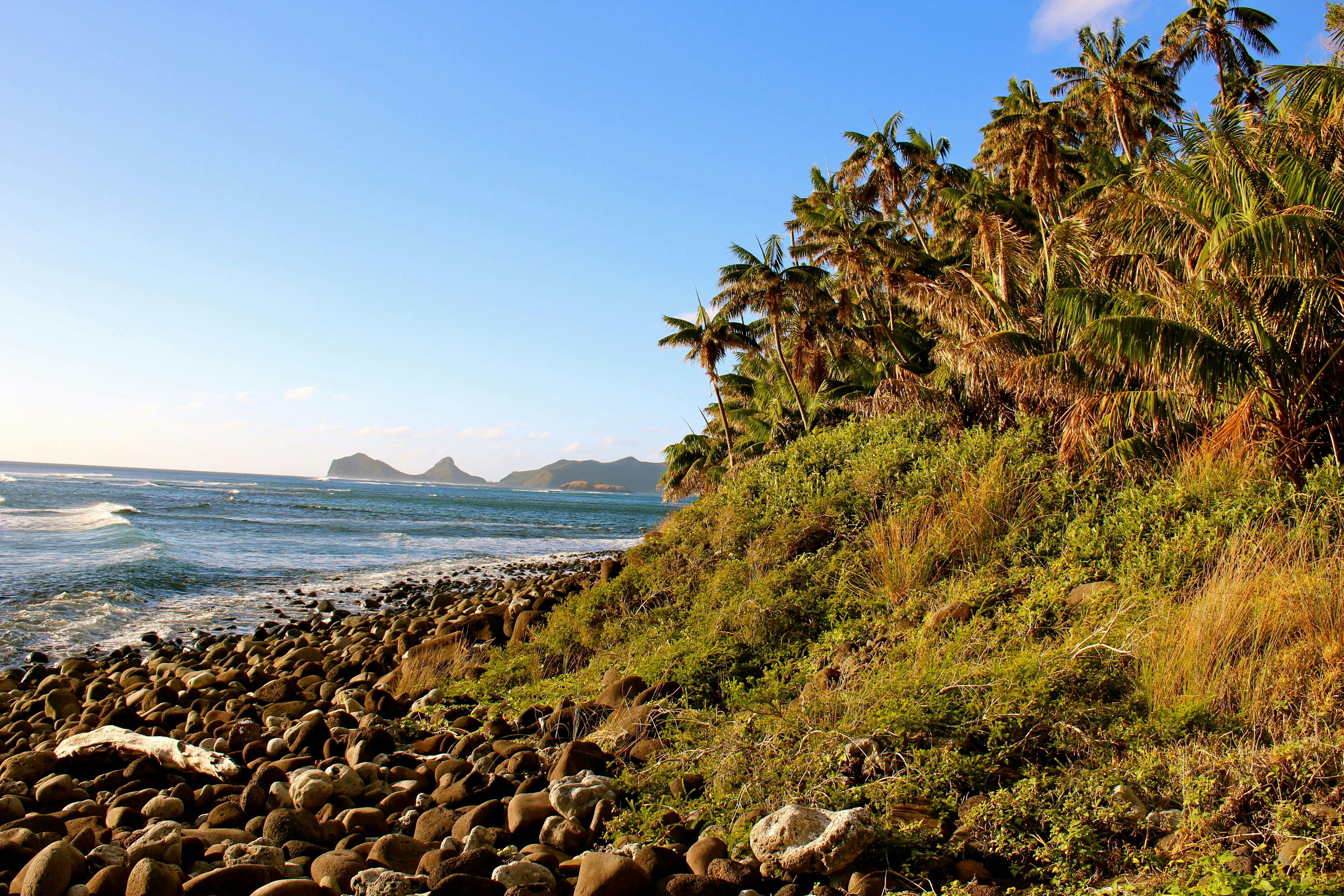 왕복 3km가 채 안되는 거리에 있는 리틀 아일랜드(Little Island)로 가는 길은 섬에서 가장 완만합니다. 전망은 장관이며 섬의 남쪽 끝까지 순환할 가치가 있는 동식물군