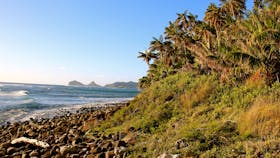 Just under three kilometre round trip, the walk to Little Island is easily the most gentle of walks on the island. The view is spectacular, and the flora and fauna worth the cycle to the south end of the island