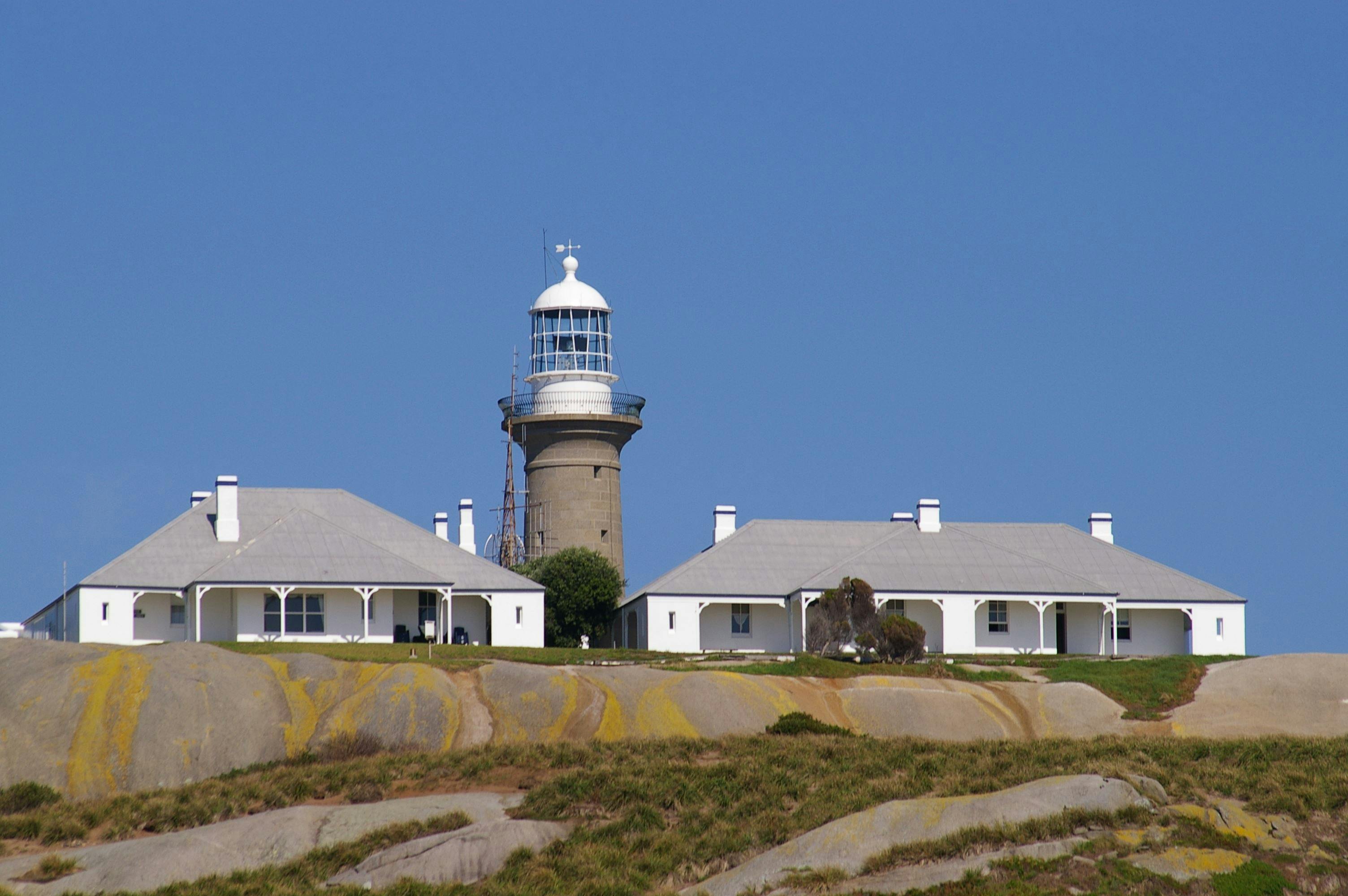 Narooma Charters and Montague Island Tours