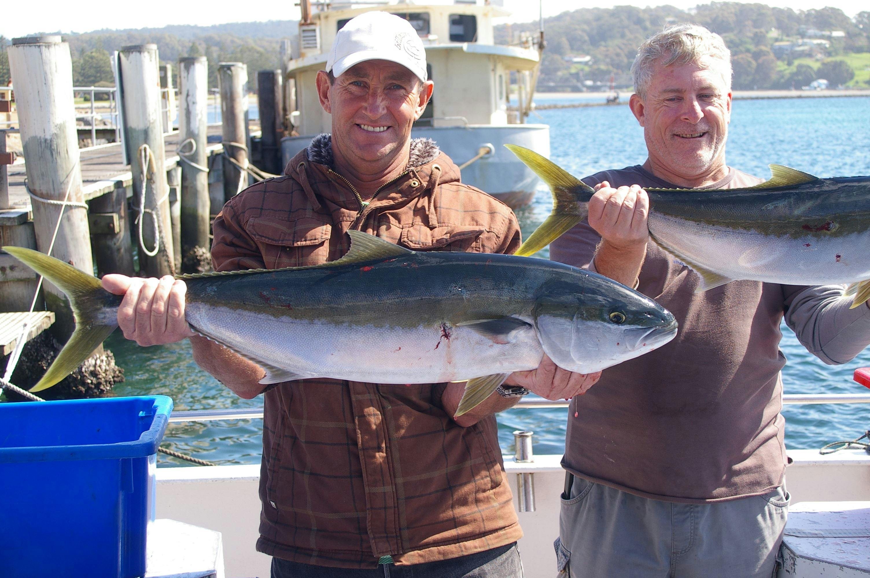 Narooma Charters and Montague Island Tours