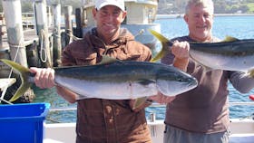 Narooma Charters and Barunguba Montague Island Tours