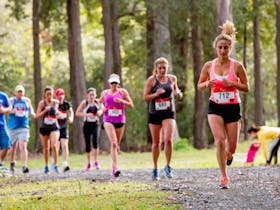 Coffs Harbour Running Festival
