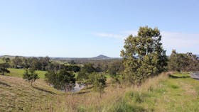 Mt Piper Nature Conservation Reserve