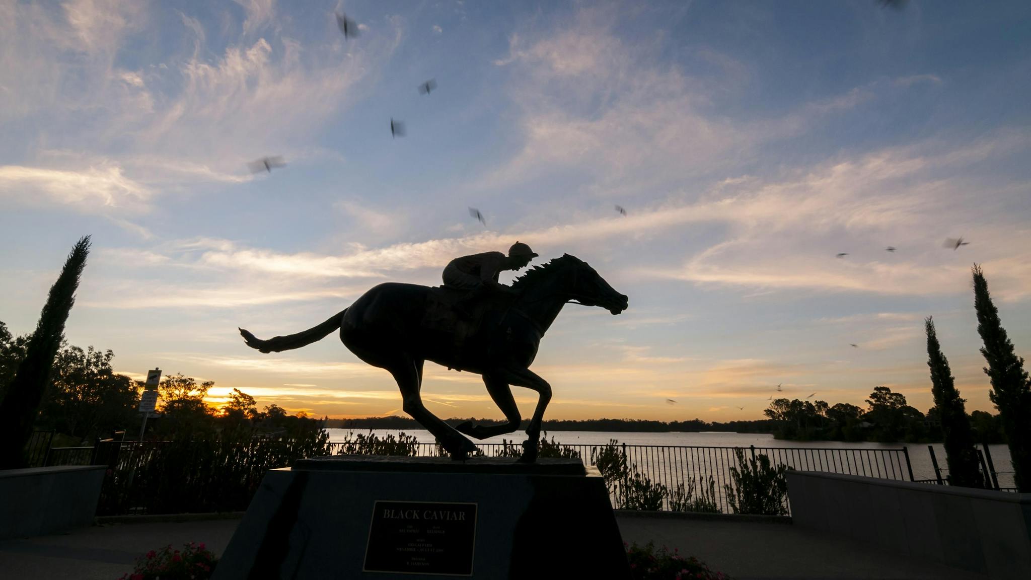 Black Caviar statue on dusk