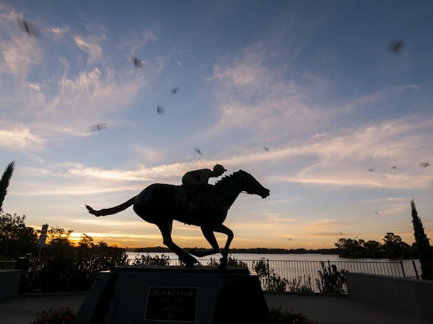 Black Caviar Statue
